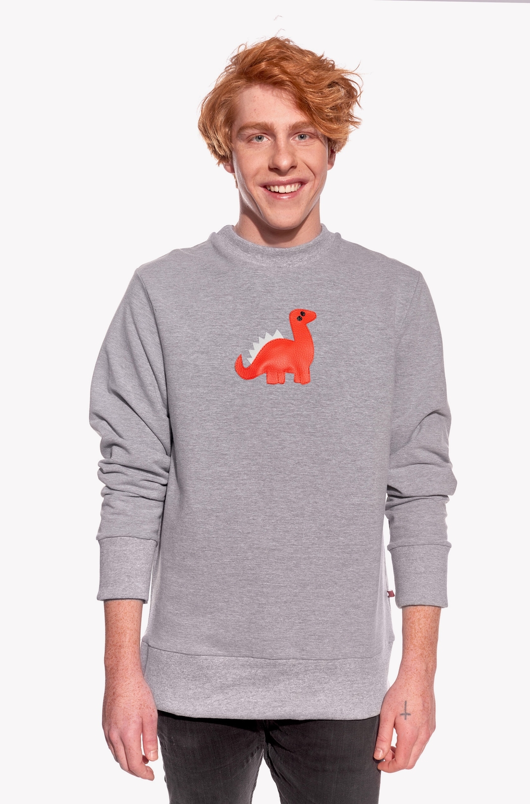 Sweatshirt Dino
