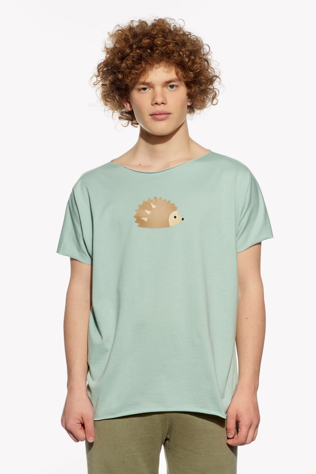 Shirt with hedgehog