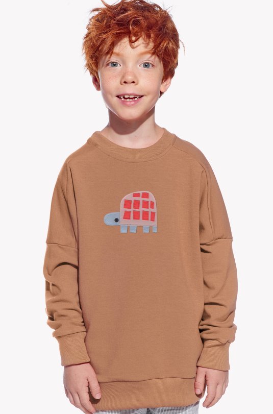 Sweatshirt mit einer Schildkröte