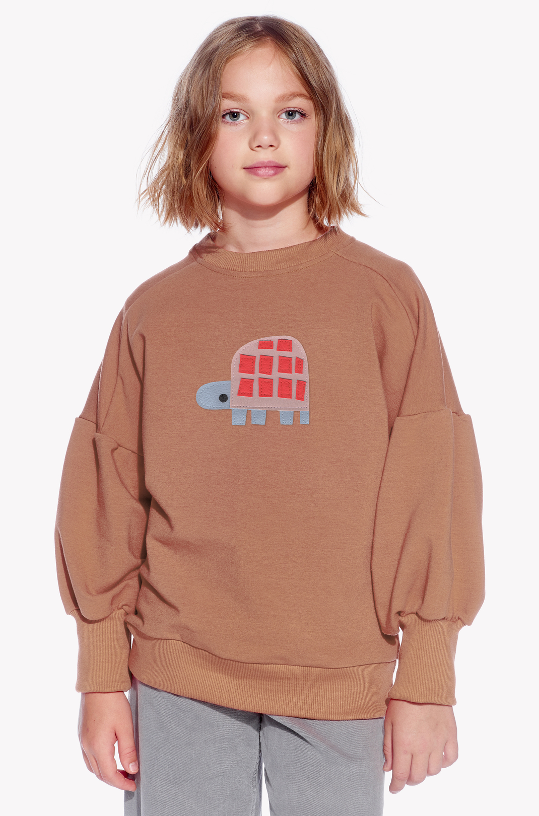 Sweatshirt mit einer Schildkröte