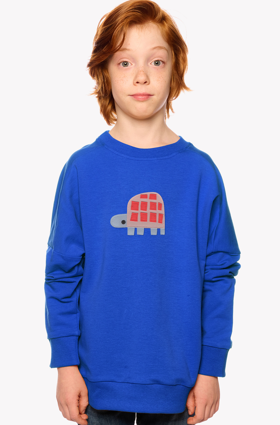 Sweatshirt mit einer Schildkröte