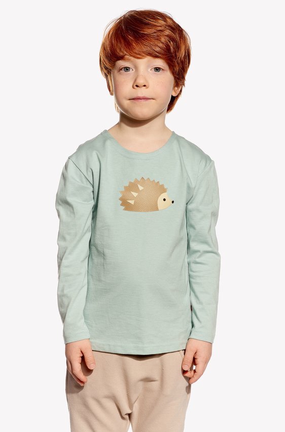 Shirt with hedgehog