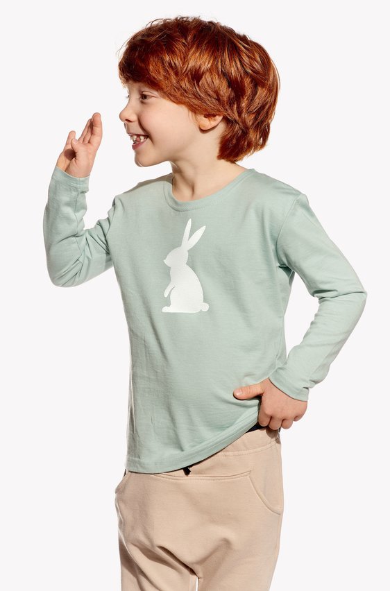 Shirt with rabbit