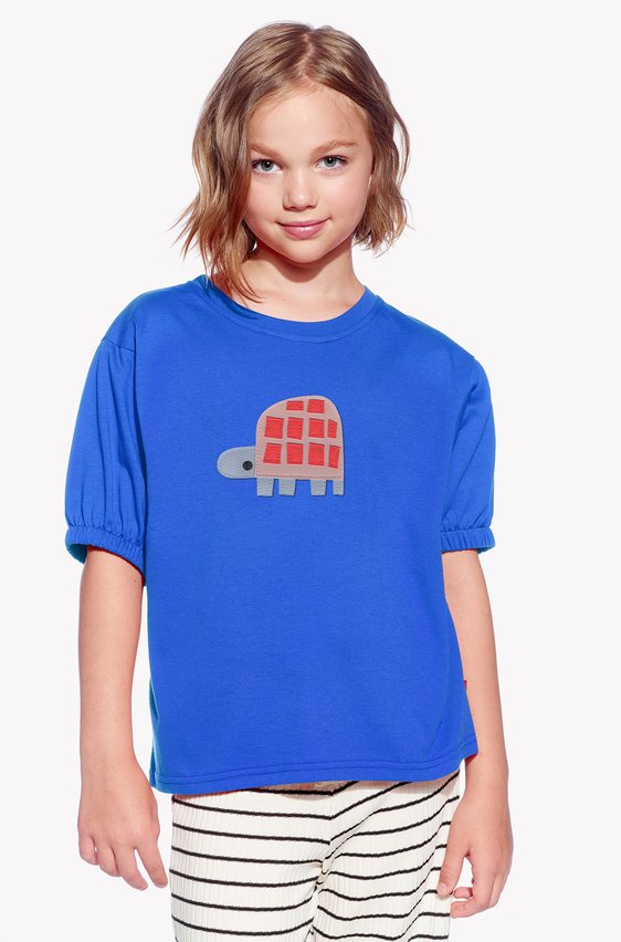 Shirt with a turtle